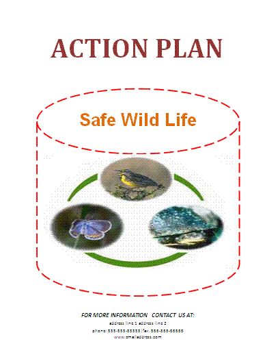 action plan template