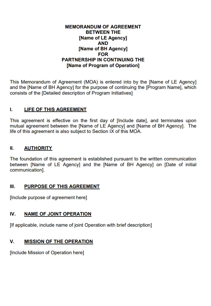 Memorandum of Agreement Template